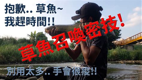 好想釣魚|台灣釣魚10大地點推薦！來這裡「夜釣小管」還能現釣現煮 